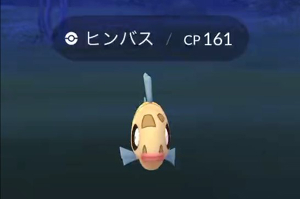 ポケモンgo ヒンバス入手方法 野生