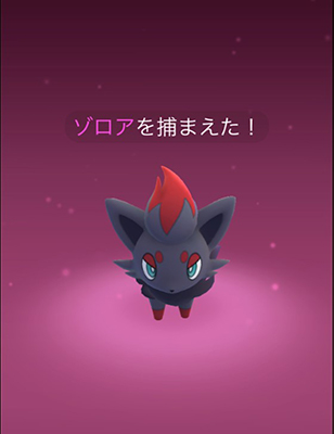ポケモン go ゾロア 入手 方法