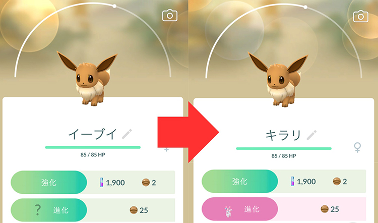 イーブイの名前を「キラリ」にする