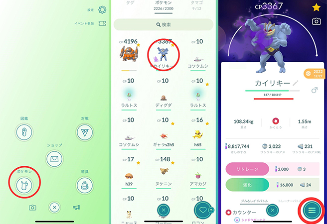 ポケモンの体力を確認