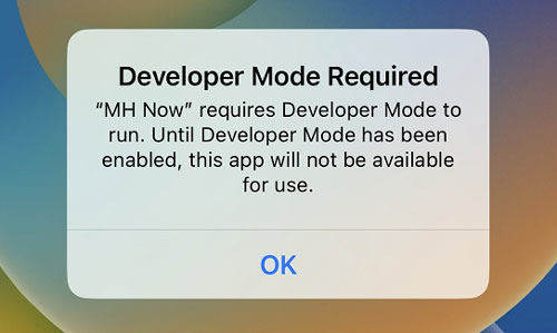 developer mode required