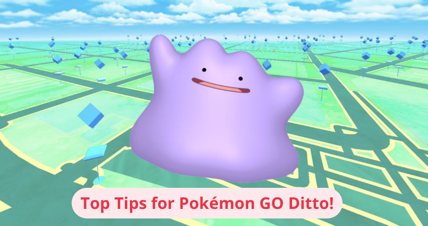 ditto pokemon go