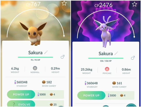 太陽伊布進化改名