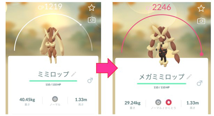 ポケモン go メガエナジーの効果