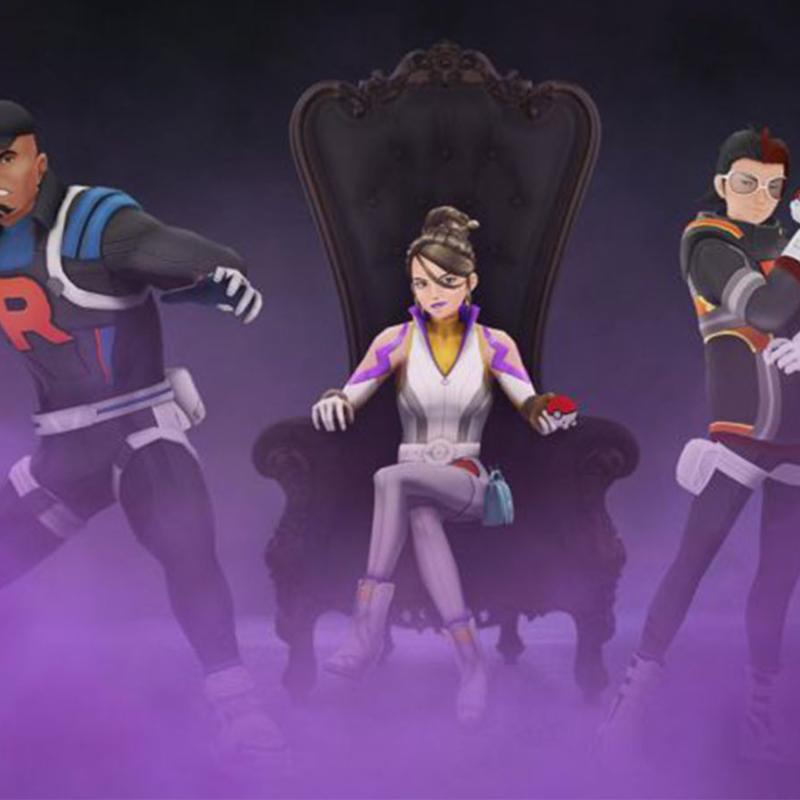 fight team go rocket leaders