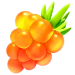 ポケモン go きんのズリのみ