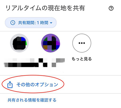 Googleマップ 位その他のオプション
