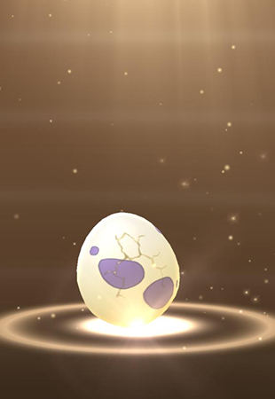 hatch eggs