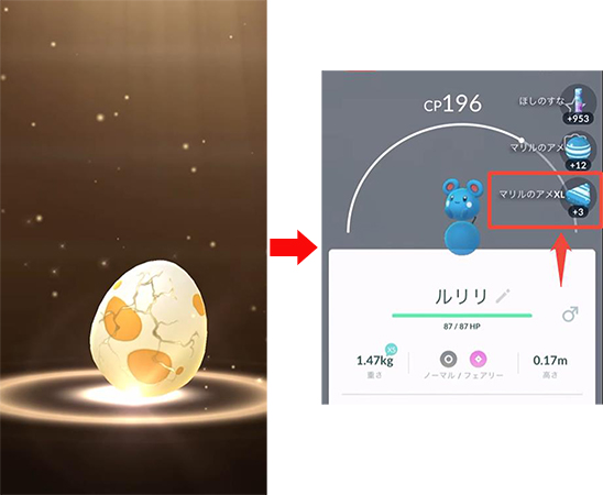 ポケモンgo タマゴを孵化 アメXLを入手