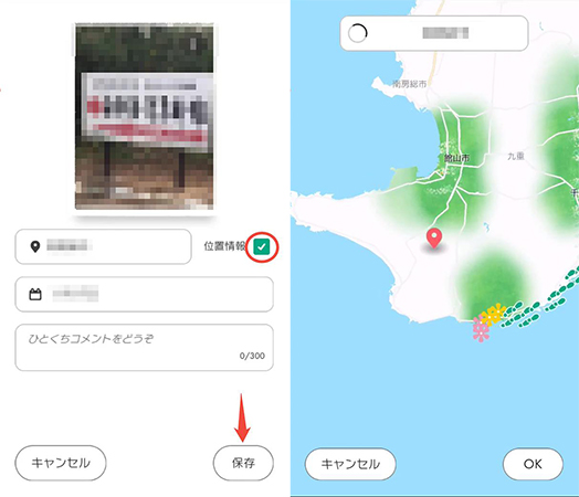 ピクミンブルーム ライフログ 位置情報