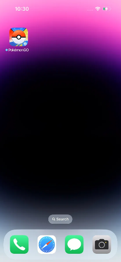 install app pogo ios sucess