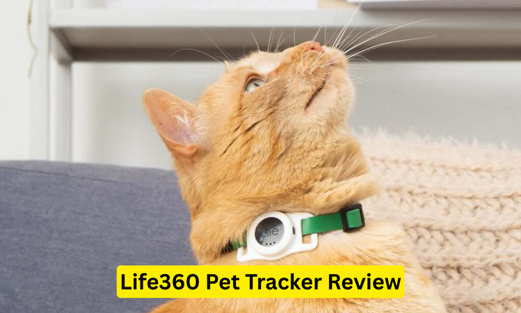 Life360 Pet Tracker Review