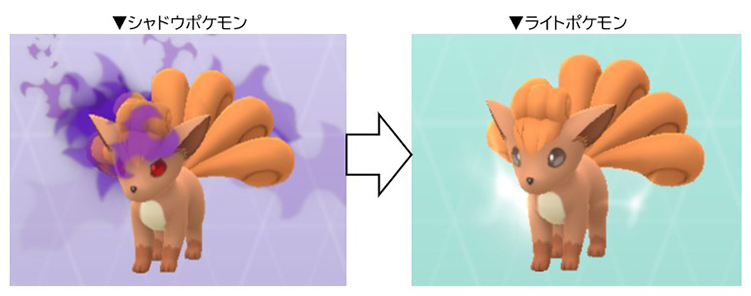 ポケモンgo シャドとライトポケモンの見た目