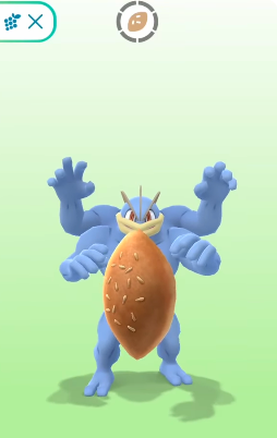 Make Your Buddy Pokemon