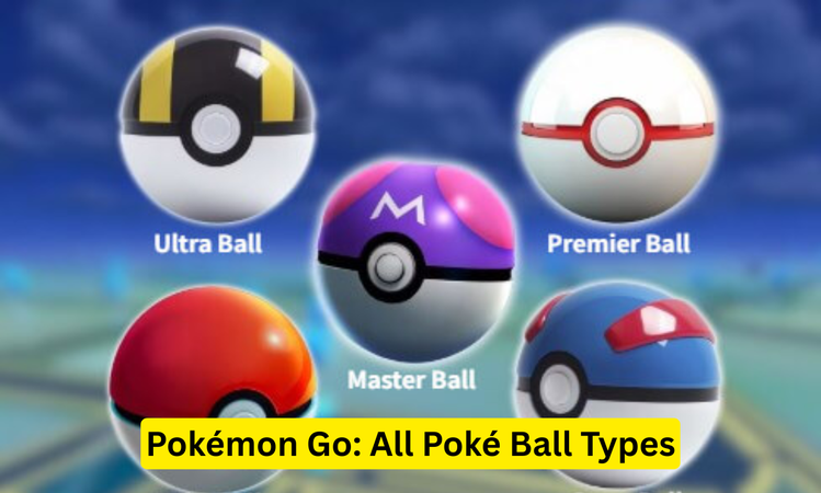 Pokemon Go All Poke Ball Types