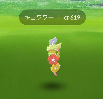 ポケモンgo キュワワー 野生