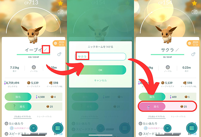 イーブイの名前変更 サクラ