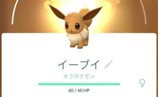 ポケモン go キラポケモン イーブイ
