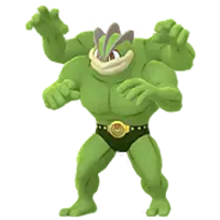 ポケモン 色 違い カイリキー