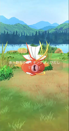 ポケモンgo コイキング 野生