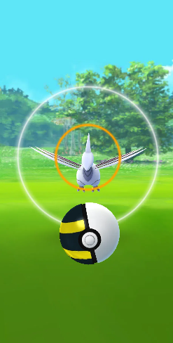 pokemon go ring size