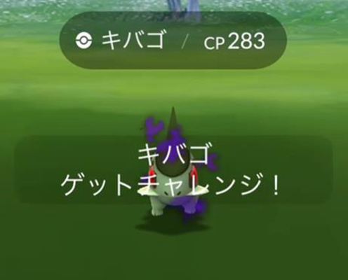ポケモンgo シャドウキバゴ