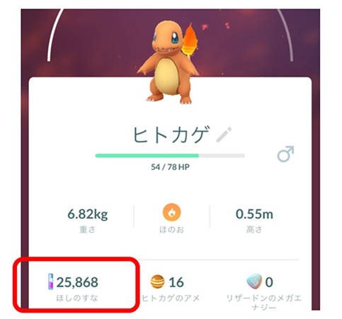 ポケモン go ほしの す な とは