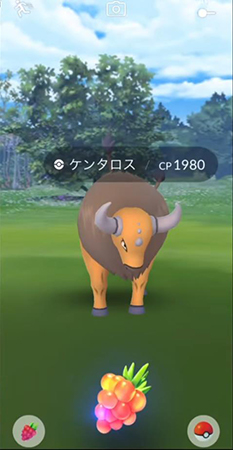 ポケモンgo ケンタロス 野生