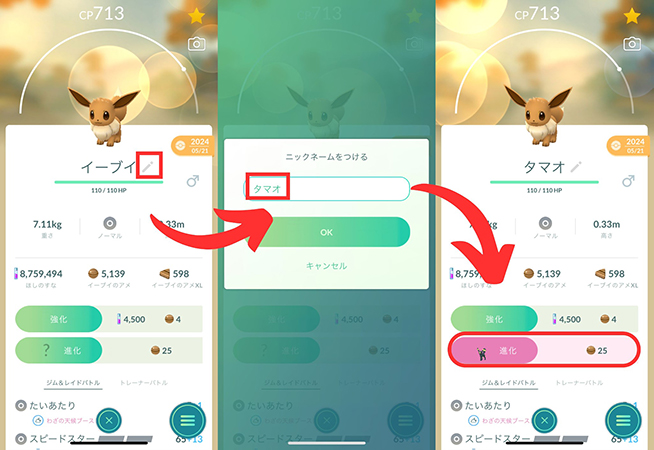 ブラッキー進化 イーブイの名前変更 タマオ
