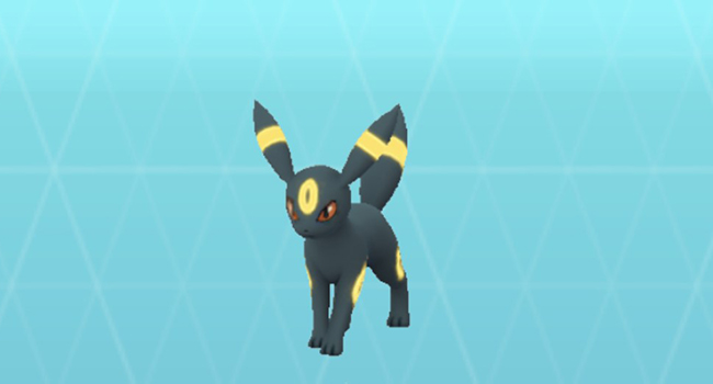 ポケモンgo ブラッキー