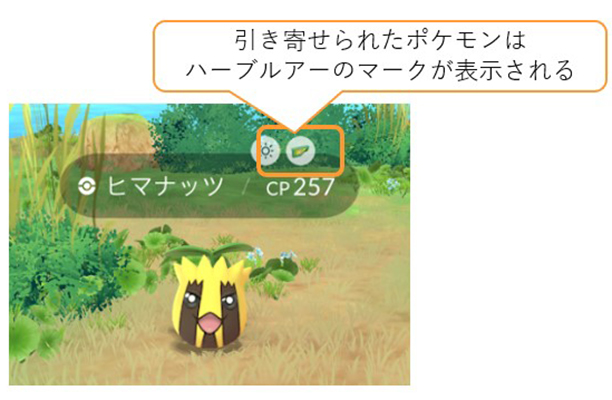 ポケモンGO ハーブルアーのマーク