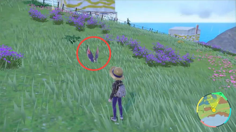 ポケモンSV ビビヨン