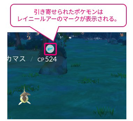 レイニールアー 引き寄せられたポケモン