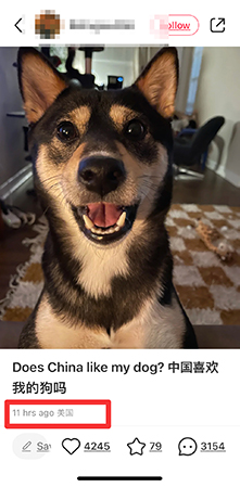 小紅書 IPアドレス