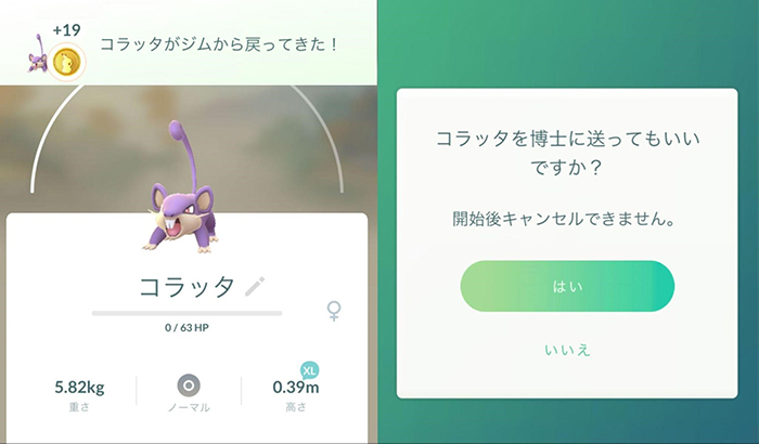 博士に送る予定のポケモンでジム防衛