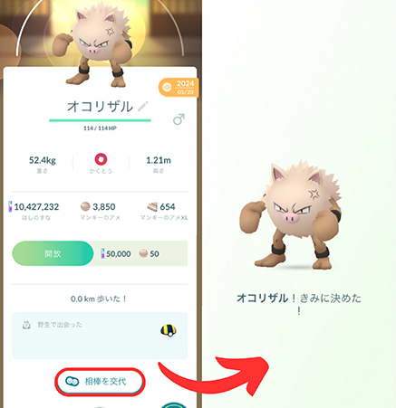オコリザルを相棒ポケモンに設定