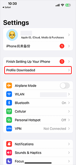 settings profile download ios