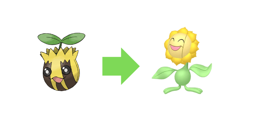sunkern to sunflora