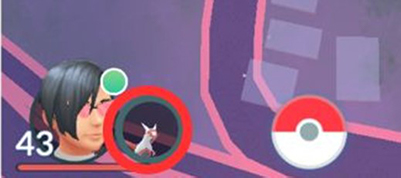 相棒ポケモンのアイコンをタップ