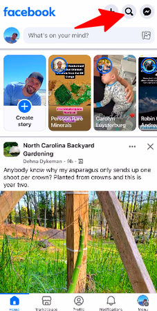 Tap Search Bar at Top