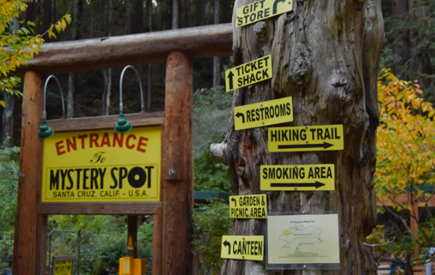 the mystery spot santa cruz california