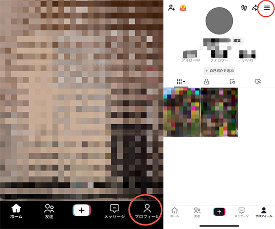 TikTok プロフィール