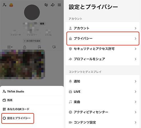 TikTok 設定とプライバシー