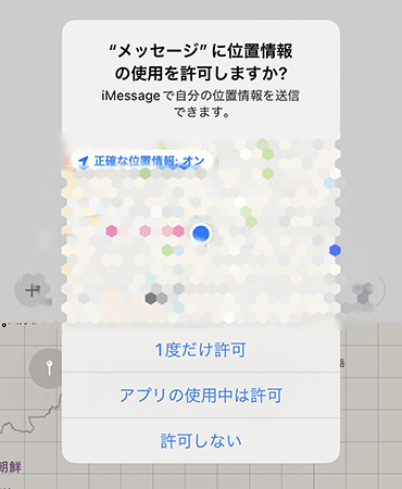 『位置情報の使用』の項目を選択