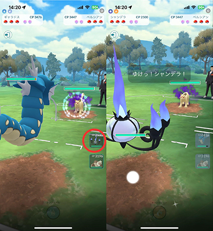 タイプ相性が有利なポケモンを使用