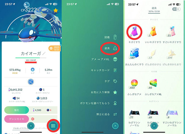 ポケモンの残りHPを確認しながら回復