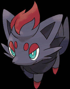 zorua